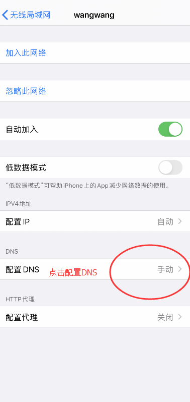 设置手机DNS的方法