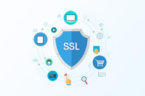 没有域名可以申请ssl加密证书吗？