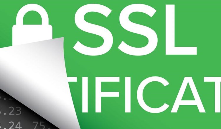 申请ssl证书能不能用虚拟域名？